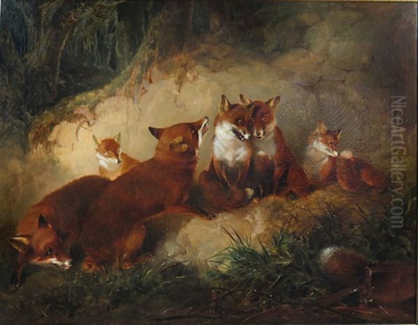 Six Foxes, One With Tail Lost In Trap Oil Painting by James Bateman