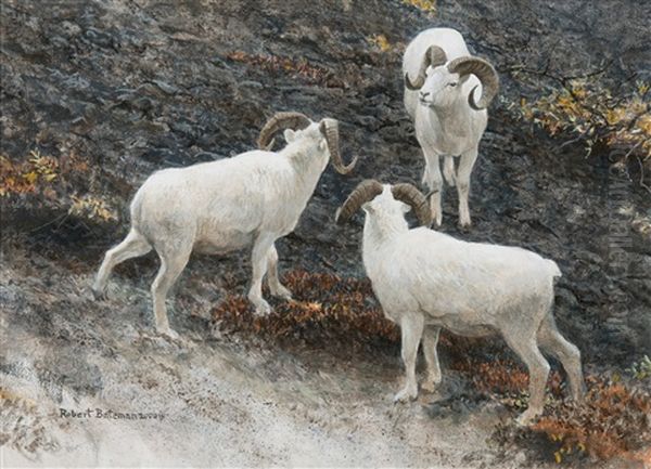 Alaska-dall Sheep Oil Painting by Robert Bateman