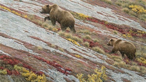 Alaskan Autumn Grizzlies Oil Painting by Robert Bateman