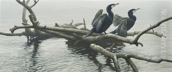 Great Cormorants Oil Painting by Robert Bateman