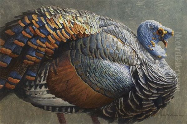 Ocellated Turkey Oil Painting by Robert Bateman