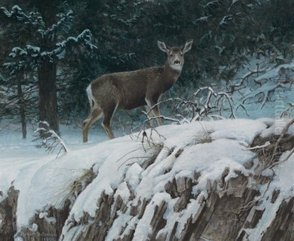 Mule Deer Oil Painting by Robert Bateman