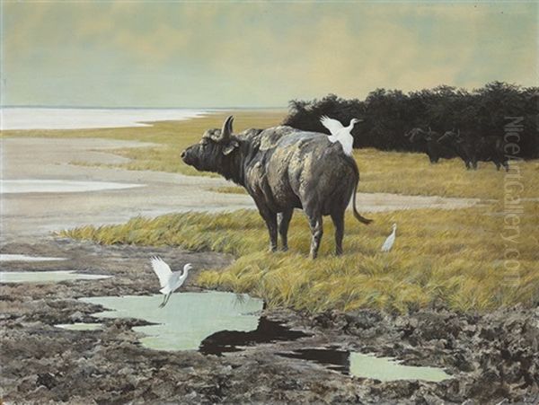 Buffalo With Cattle Egrets Oil Painting by Robert Bateman