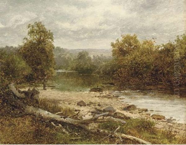 On The River Ithon, Near Llandrindod Oil Painting by David Bates