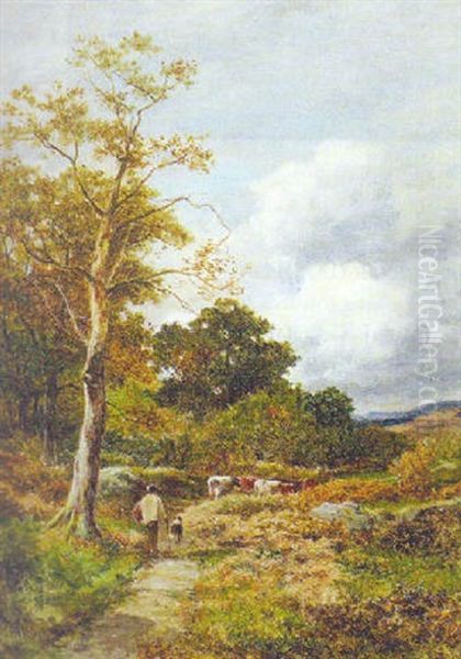 Road Through The Wood, Capel Curig Oil Painting by David Bates