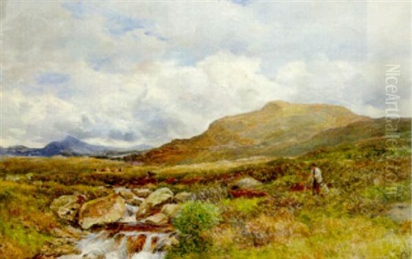 Moorland, Ogwen Valley, Capel Curig Oil Painting by David Bates