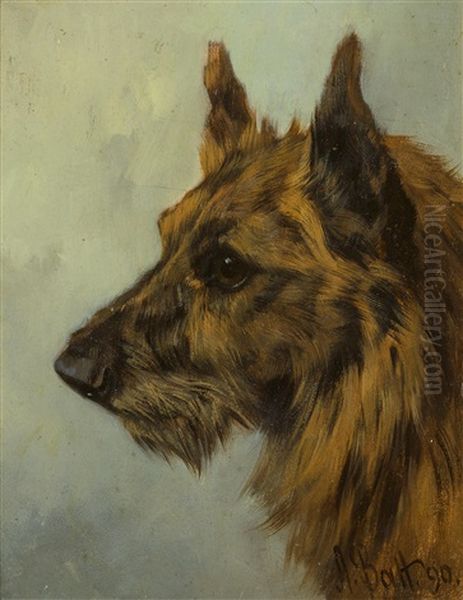 Scottish Terrier Head Study Oil Painting by Arthur Batt