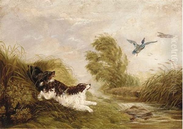 Spaniels Flushing Out Ducks Oil Painting by Arthur Batt