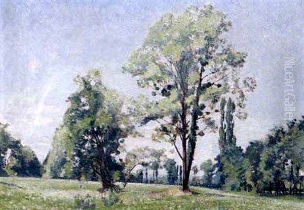 Landschaft Bei Cointrin Oil Painting by Maurice Baud