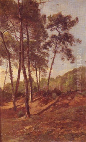 Arbres En Lisiere De Foret Oil Painting by Amedee Baudit