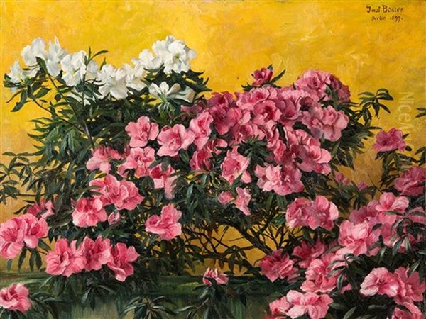 Oleander Oil Painting by Gustav Bauer