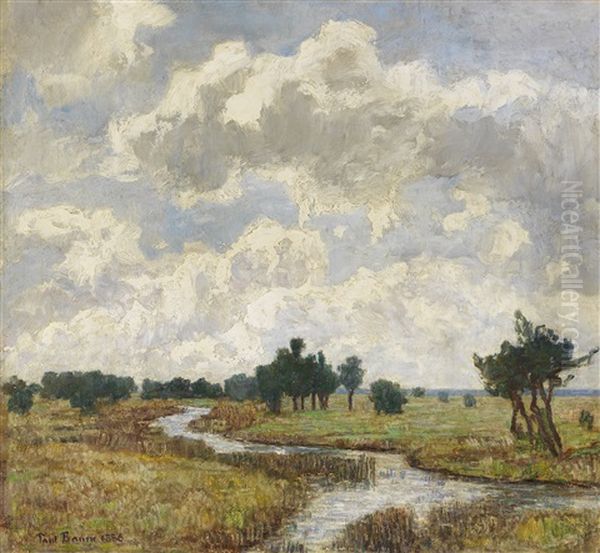 Sonnig-wolkiger Himmel Uber Moorigen Wiesen Mit Bachlauf Oil Painting by Paul Baum