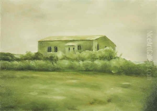 Una Casa Oil Painting by Franz Baumgartner