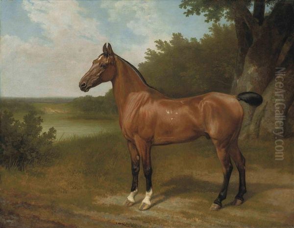 Lord Bingley's Hunter In A Wooded River Landscape Oil Painting by Jacques Laurent Agasse