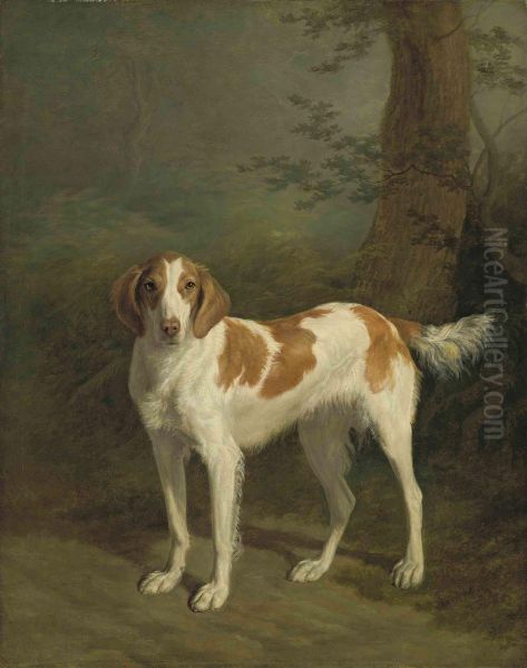 Dash, A Setter In A Wooded Landscape Oil Painting by Jacques Laurent Agasse