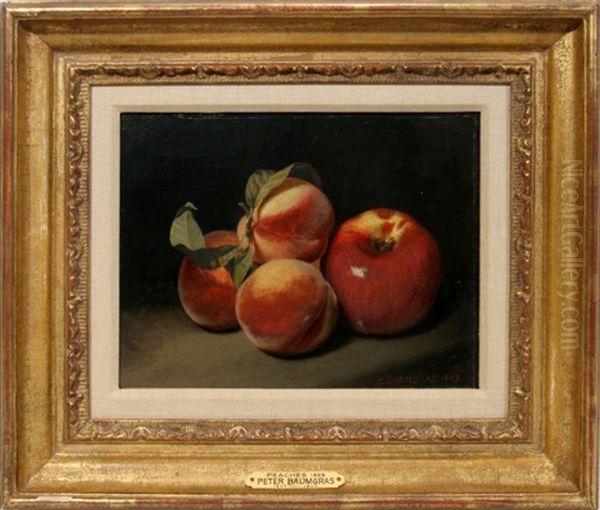 Peaches & Apple Oil Painting by Peter Baumgras