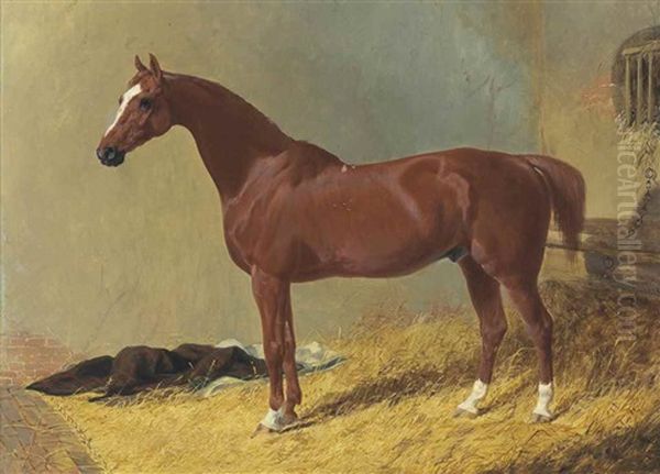 A Bay Racehorse In A Stall Oil Painting by Charles Baxter