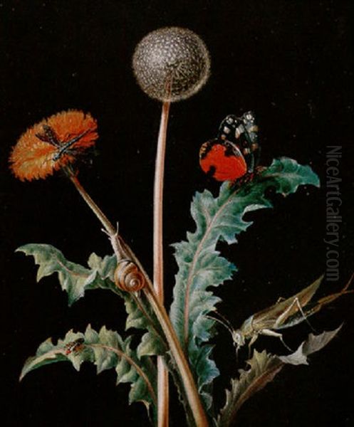 Still Life Of A Grasshopper, A Snail, A Dragonfly, A Beetle And A Butterfly On A Dandelion Oil Painting by Johann Christoph Bayer