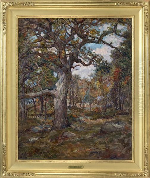 Mason Island Oak Oil Painting by Reynolds Beal