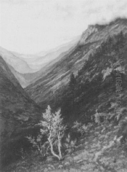 Black Canyon,  Estes Park, Co Oil Painting by Gamaliel Waldo Beaman