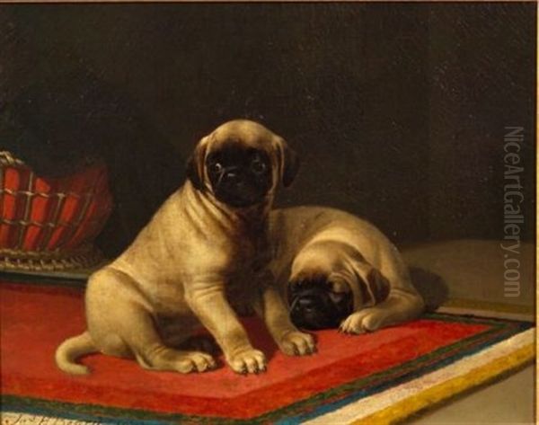 Two Pugs On A Red, White, And Blue Rug Oil Painting by James Henry Beard