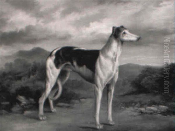 A Greyhound In A Highland Landscape Oil Painting by James Henry Beard