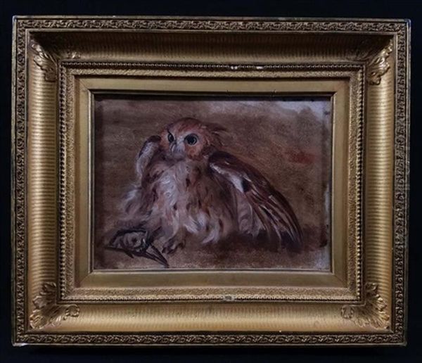 Study Of Trapped Owl Oil Painting by William Holbrook Beard