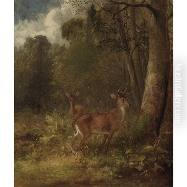 Young Stag And Doe In A Wooded Landscape Oil Painting by William Holbrook Beard