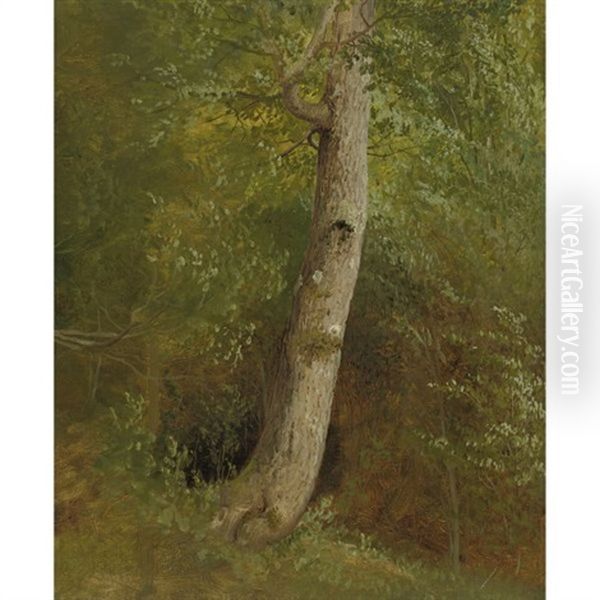 A Tree (study) Oil Painting by William Holbrook Beard