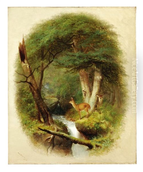 Deer By A Forest Brook Oil Painting by William Holbrook Beard