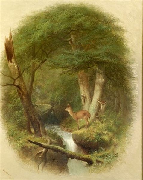 Deer In The Forest Clearing Oil Painting by William Holbrook Beard