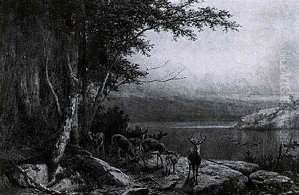 Deer By The Lake Oil Painting by William Holbrook Beard