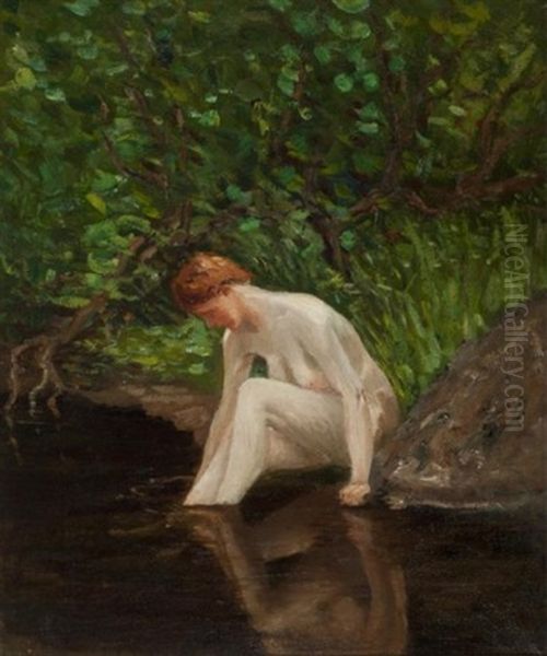 The Bather Oil Painting by Henri Beau