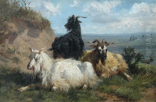 Study Of Goats On Cliffs By The Seashore; Study Of Sheep (pair) Oil Painting by Richard Beavis