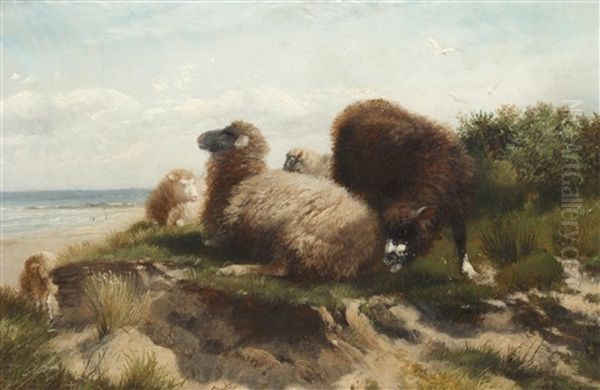 Sheep On The French Coast Oil Painting by Richard Beavis