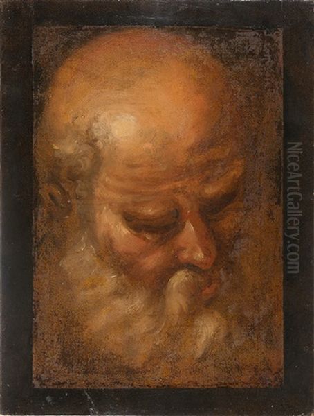 Kopf Eines Alten Mannes (volto Di Vecchio) Oil Painting by Domenico Beccafumi