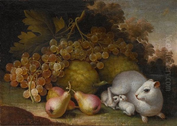 Fruchtestillleben Mit Meerschweinchen by Jacob Samuel Beck