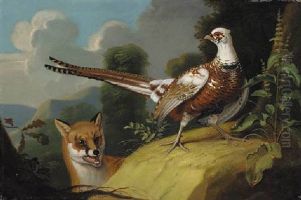 An Ornamental Pheasant And A Fox Oil Painting by Jacob Samuel Beck