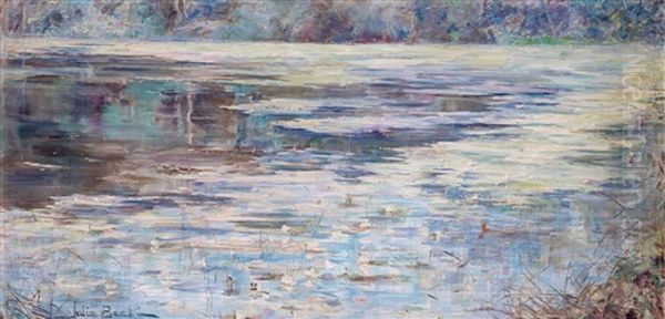 L'etang Saint-cucufa, Pres Vaucresson Oil Painting by Julia Beck