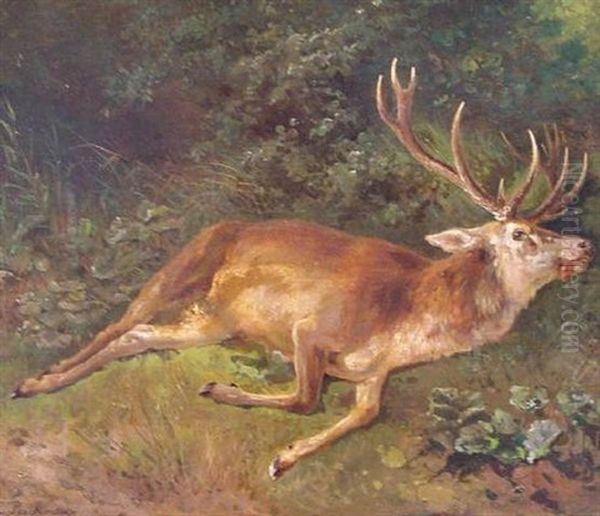 Erlegter Hirsch Im Dickicht Oil Painting by Ludwig Beckmann