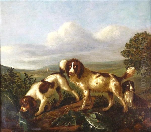 Spaniels Hunting In A Landscape Oil Painting by Adriaen Cornelisz Beeldemaker