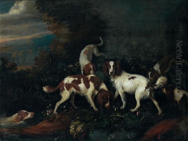 Des Springer Spaniels Oil Painting by Adriaen Cornelisz Beeldemaker