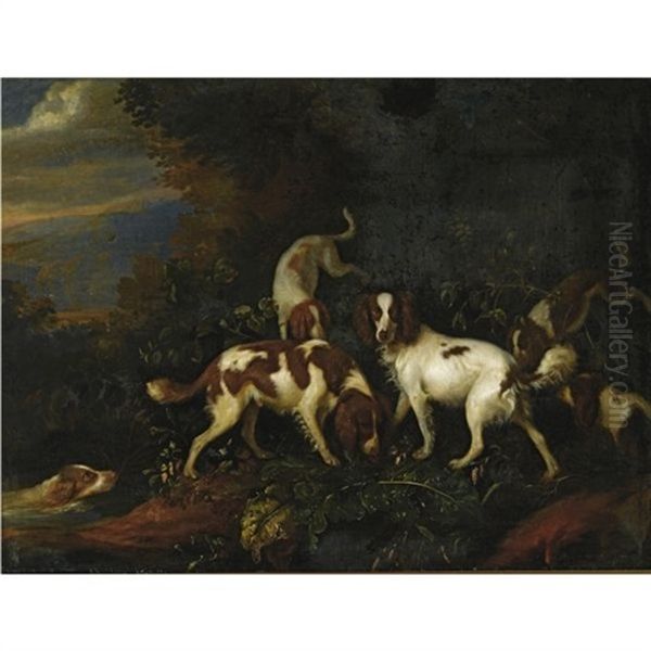 Spaniels In A Wooded Landscape Oil Painting by Adriaen Cornelisz Beeldemaker