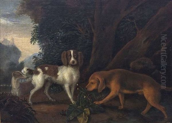 Drei Jagdhunde Rasten Auf Einer Waldlichtung Oil Painting by Adriaen Cornelisz Beeldemaker