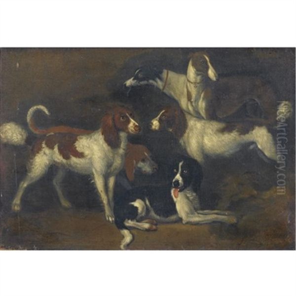 Study Of Dogs Oil Painting by Adriaen Cornelisz Beeldemaker