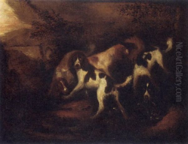 Hunting Dogs In A Forest Oil Painting by Adriaen Cornelisz Beeldemaker