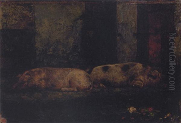 Two Sleeping Pigs Oil Painting by Jan van Beers