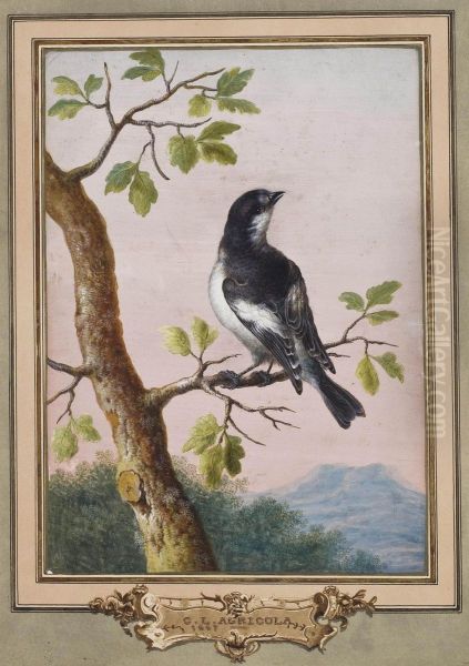 Gobemouche Noir Sur Une Branche De Chene Oil Painting by Christophe-Ludwig Agricola