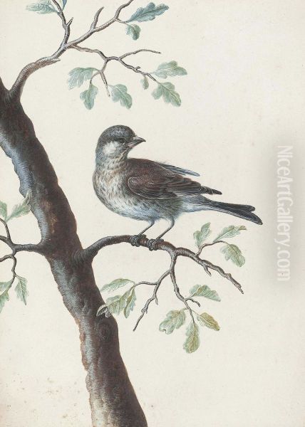 A Bird On An Oak Branch Oil Painting by Christophe-Ludwig Agricola