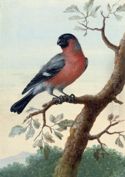 Study Of A Red-breasted Bird On A Branch Oil Painting by Christophe-Ludwig Agricola